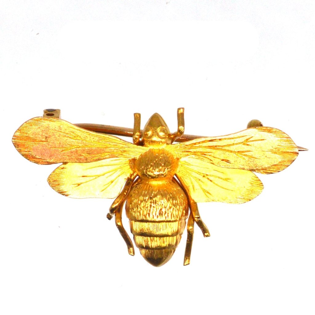 Ingrandisci