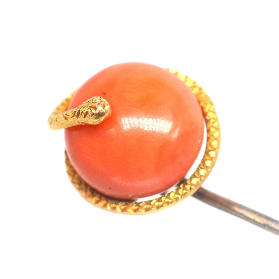 Victorian 15ct gold snake tie pin with coral bead, symbolizing everlasting love and protection.