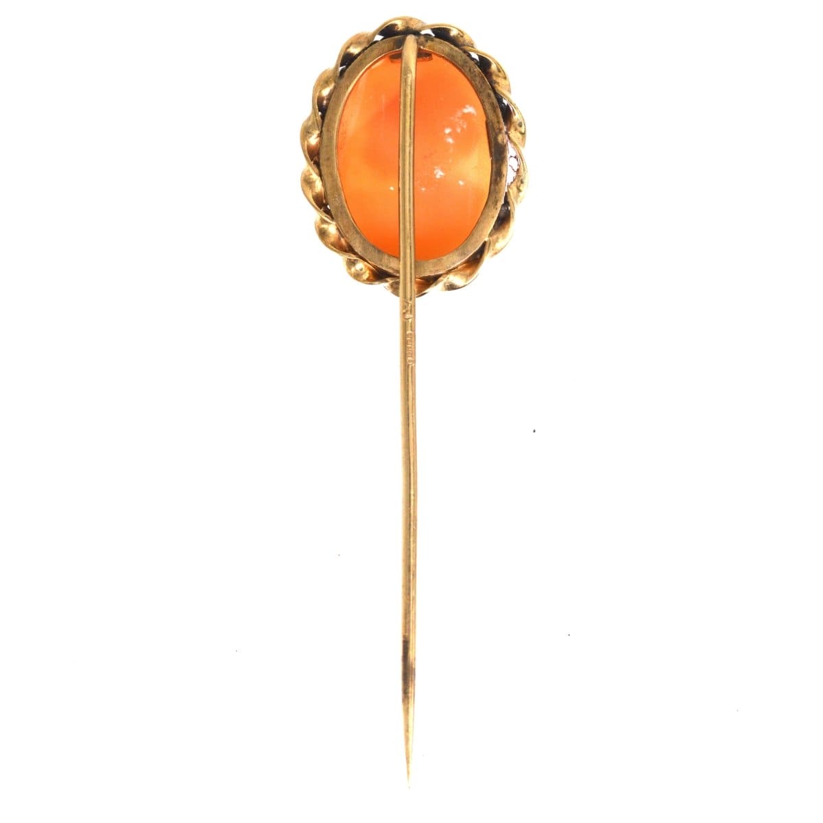 Ingrandisci