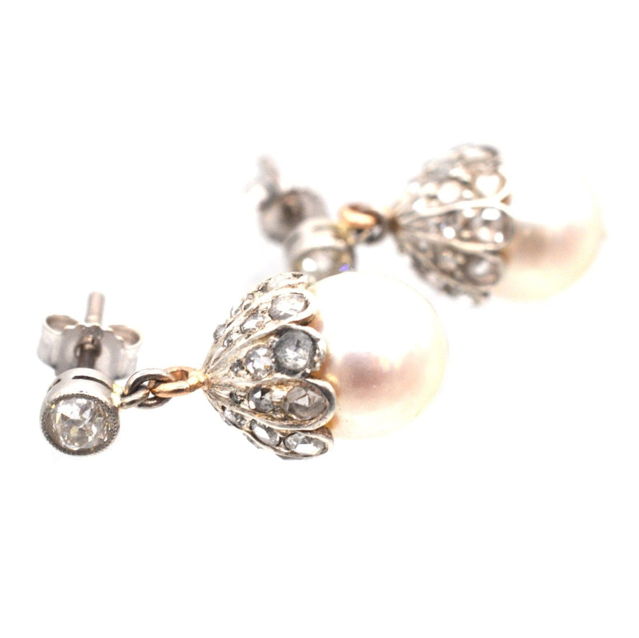 Elegant Edwardian 18ct white gold earrings with cultured pearls and rose diamonds, perfect for any jewelry collection.