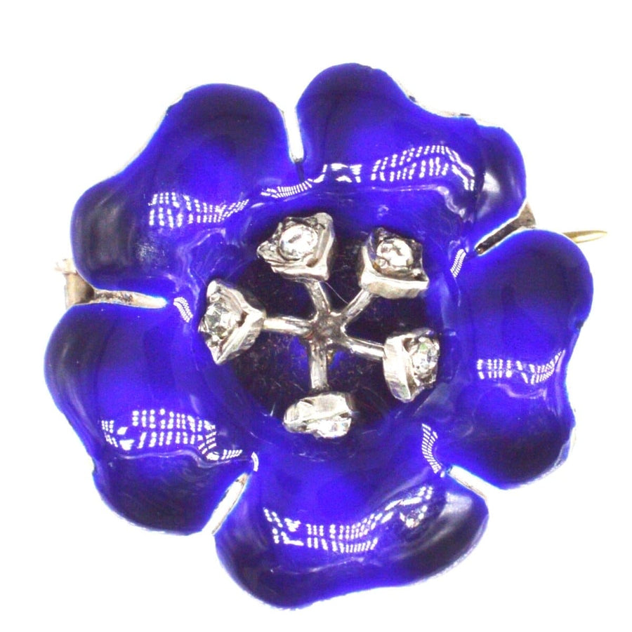 Edwardian silver flower brooch with cobalt blue enamel petals and white paste-topped stamens, perfect for lapel or hat.